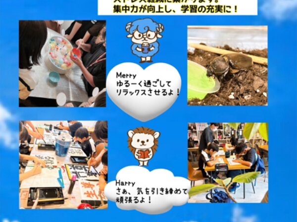 2025年 夏期講習募集開始！の画像