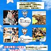 2025年 夏期講習募集開始！のイメージ